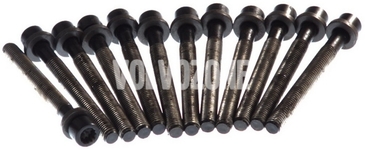 Cylinder head bolts kit (12x) 2.5 TDI P80 P2