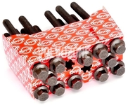 Cylinder head bolts kit (12x) 5 cylinder gasoline engines P80 P1 P2 P3